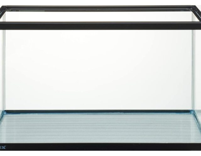 水槽を始める前に決めたい5つのこと｜初心者が失敗しにくい最初の計画